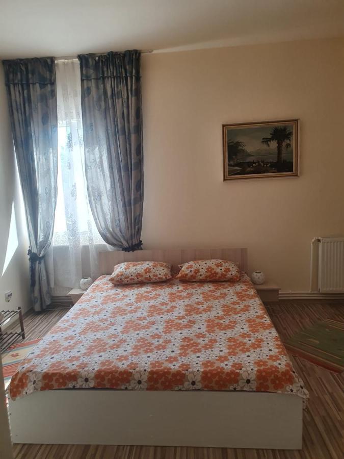Relax Haus Hotel Hunedoara Buitenkant foto