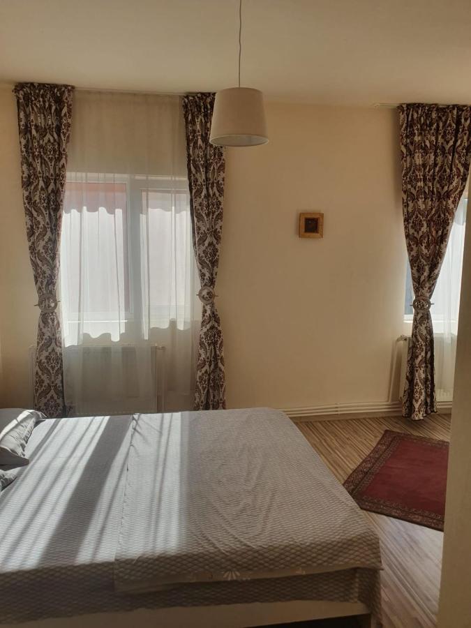 Relax Haus Hotel Hunedoara Buitenkant foto